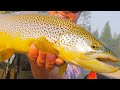 5 days 5 species over 1500 miles traveled  cascade fishing challenge short film