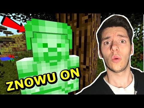 FERAJNA: BUDUJE POMNIK ZIELONEGO STEVE (Ps: Doknes to Krzak :)))) ) - FERAJNA: BUDUJE POMNIK ZIELONEGO STEVE (Ps: Doknes to Krzak :)))) )