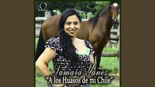 Video thumbnail of "Tamara Yañez - La manta de tres colores"