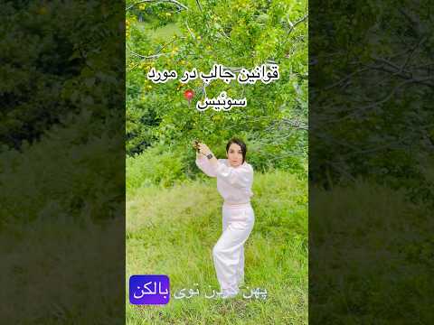 چیزهایی شنیدنی در مورد سوئیس سفر اروپا سوئیس 