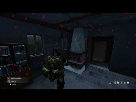 DayZ RayCaster