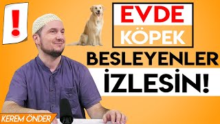 Download Evde Köpek Besleyenler Izlesin! Efektli Video / Kerem Önder Video MP3 Evde Köpek Besleyenler Izlesin! Efektli Video / Kerem Önder