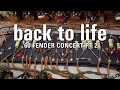 Back to life  60 fender concert pt 2