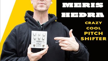 The Totally Unique World of Pitch Shifting Delay.