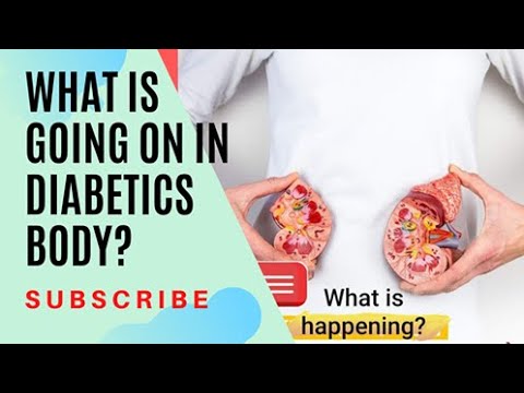 what-is-going-on-in-the-body-with-high-blood-sugar?.-how-does-it-damage-your-body?