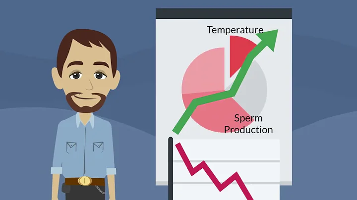 Entrelac.coop: Revolutionizing Male Contraception with the Androswitch