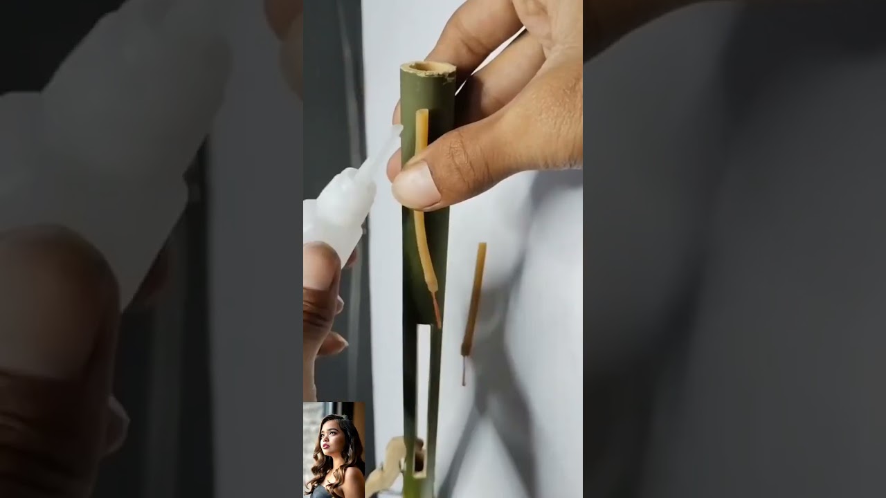 Insane Bamboo Pop Gun Hack: Traditional Toy Shoots with a Loud Bang Using Simple Air Power!