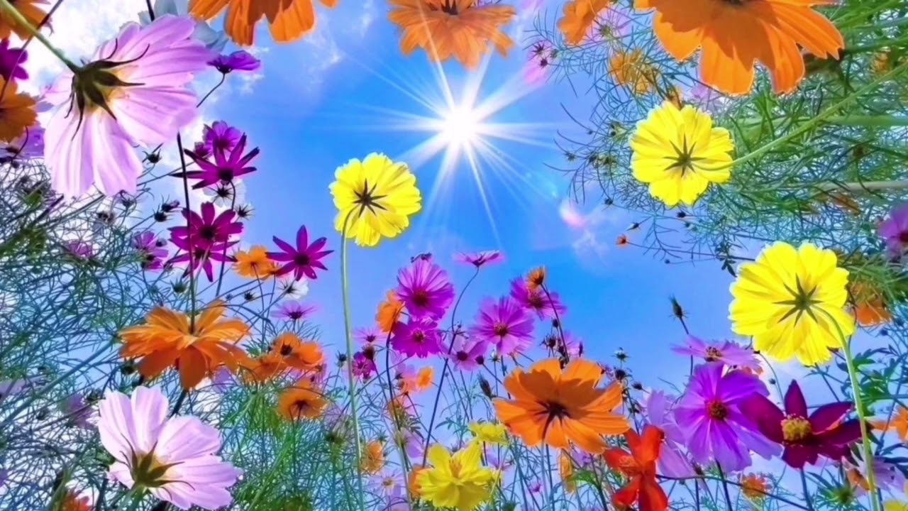 Morning 1338 อรุณสวัสดิ์ ธรรมบารมี สว่างไสว ระยิบระยับ 05 มีนาคม 2569