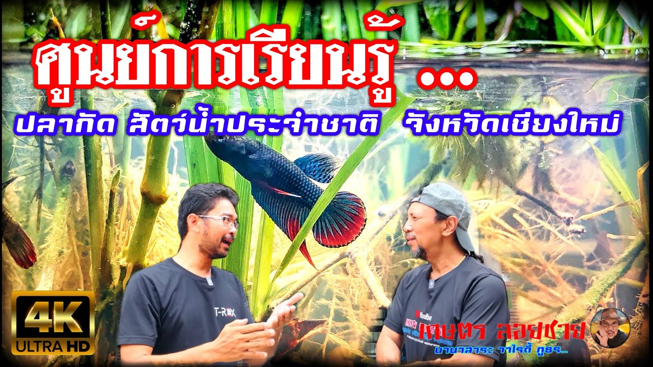 ศูนย์การเรียนรู้ ปลา..สัตว์น้ำประจำชาติ ที่เชียงใหม่ @PongLoychai