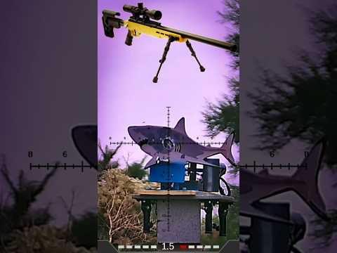 Budget Competition Rifle 🤔 Barra 250Z