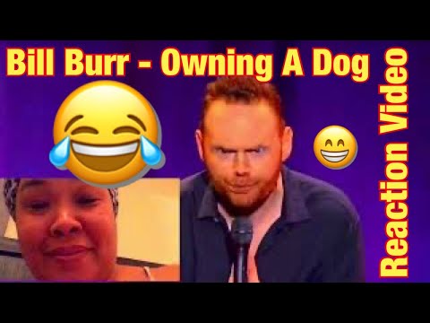 Bill Burr - Owning A Dog - Reaction