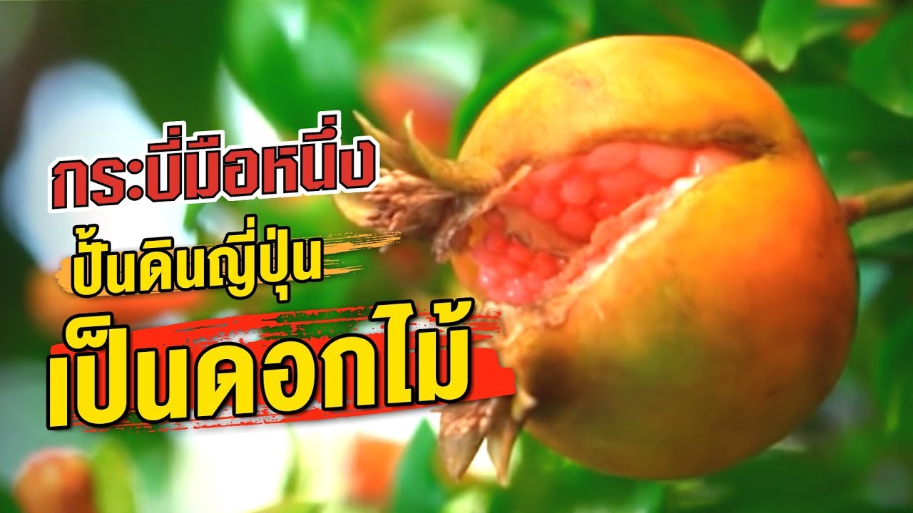 กระบี่มือหนึ่ง : ปั้นดินญี่ปุ่นเป็นดอกไม้ (22 เม.ย.56)