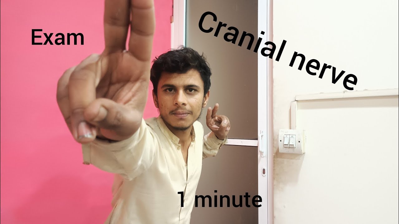 ASMR ONE MINUTE CRANIAL NERVE EXAM