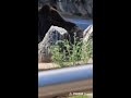 k다종🦆🦆 라이브 방송