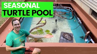 DIY Seasonal Outdoor Turtle Pond That Your Neighbor's Won't Hate!