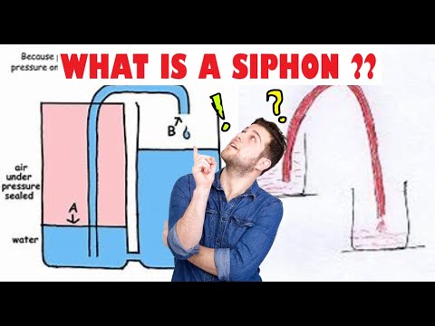 Do you know what is siphon ??