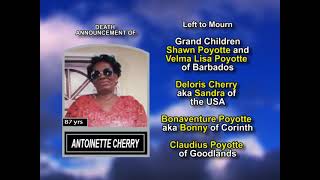 Antoinette Cherry long