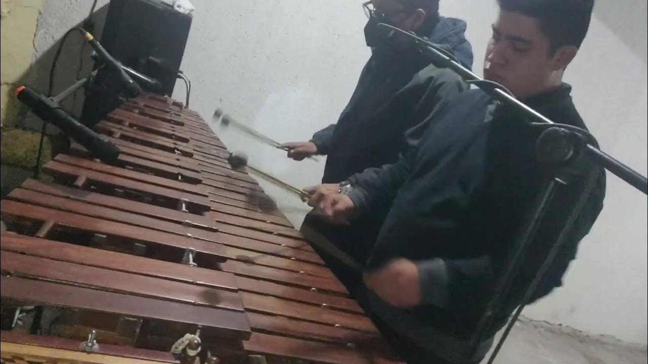 El Mundo de los Dos ️🌹 con Marimba Tradicional "ámbar" / 7225308862