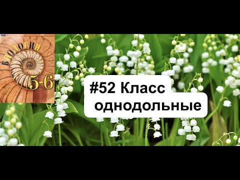 Биология 6 класс (Пасечник) аудио Параграф 52 «Класс однодольные» слушать