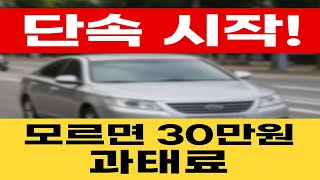 “이런 것도 벌금이에요?”  8월부터 무조건 단속 들어갑니다