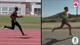 12.- Técnica De Carrera Para Corredores De Resistencia