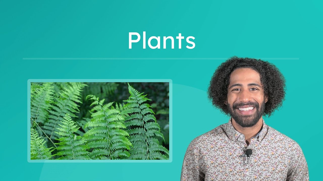Plants Life Science for Kids! YouTube