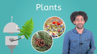 Plants - Life Science for Kids!