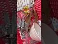 Do you cart review? #thriftwithme #thrifted #thriftedvintage #valuevillage #thrifthaul #vintagedecor