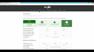 How To Installing Node Package Manager NPM