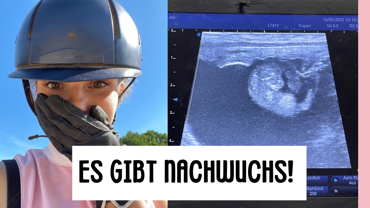 Warum mein Pferd ein Fohlen bekommen darf! 😍 I LILGRO - YouTube