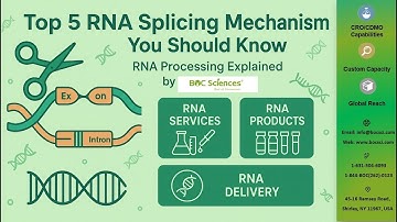 Top 5 RNA Splicing Mechanisms You Should Know — Essential Guide for Biopharma Researchers