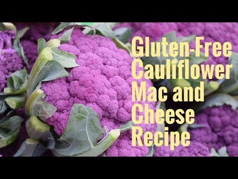 Gluten Free Cauliflower Mac and Cheese Recipe