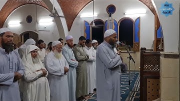 سورة القلم للشيخ جمعة مرزوق