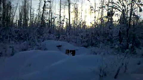 First look at my property in Alaska