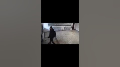 Įtariamasis dviejų merginų nužudymu