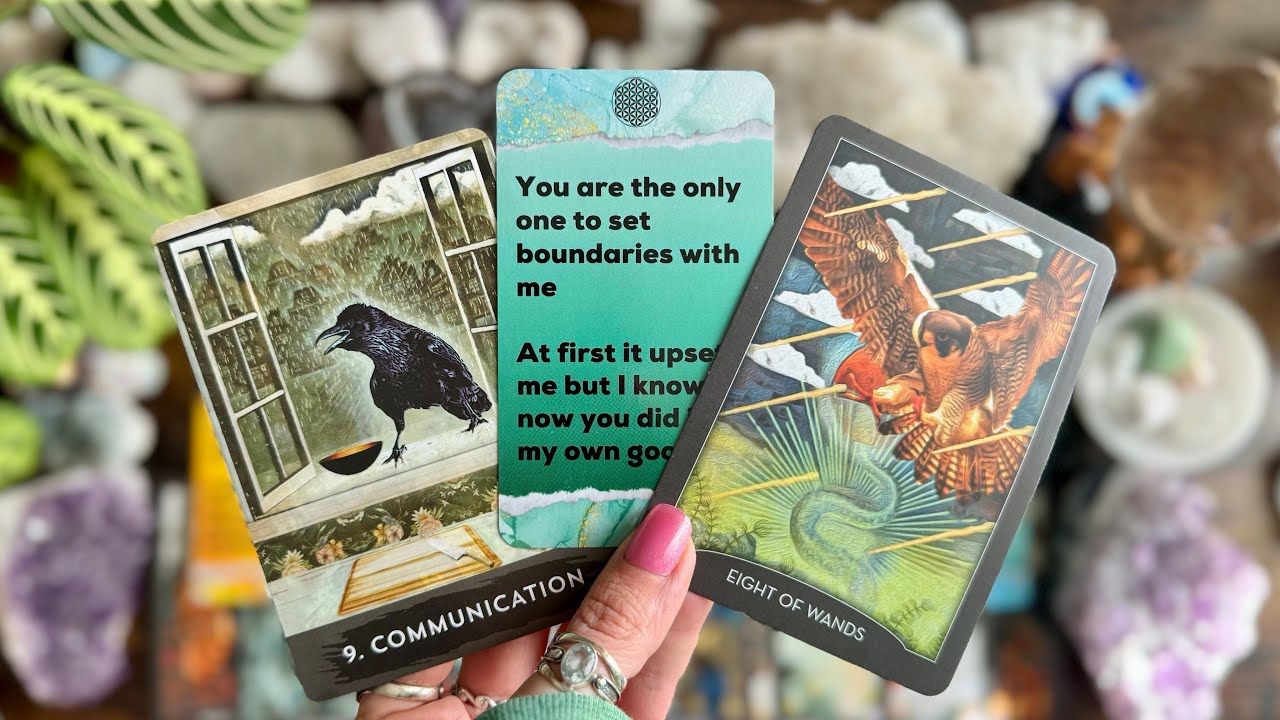 Someone you’ve been at a distance with, and anticipating communication from! 🐦‍⬛TIMELESS READING 🐦‍⬛