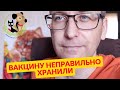 Что будет если применить вакцину, которую неправильно хранили? Как  заражаются наши животные?