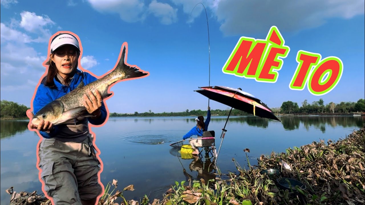 Tập 30 | Câu cá mè hoa, mè bò, mè lá dễ ẹt tại hồ câu bán thiên nhiên La Ngà | VY HAN FISHING