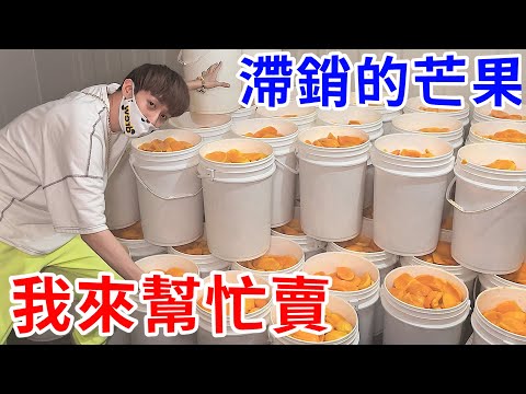 疫情導致整座山的芒果滯銷了！？我來幫忙賣！【好棒Bump】@dokatv223