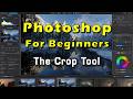 The Crop Tool