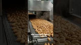 "Inside a Modern Peanut Butter Factory 🥜 | Satisfying Food Process #shorts"