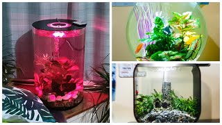Three Beautiful Biorb Aquariums
