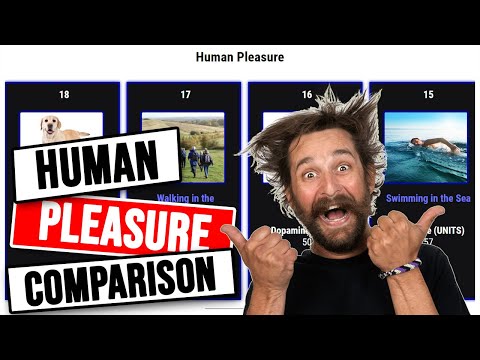 Human Pleasure: Top Ranking Pleasure Activities By Dopamine