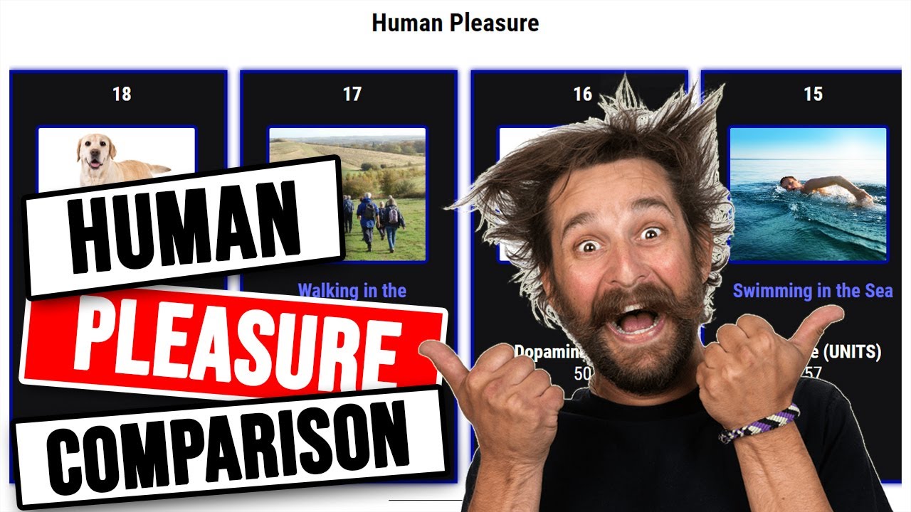 Human Pleasure Top Ranking Pleasure Activities By Dopamine YouTube