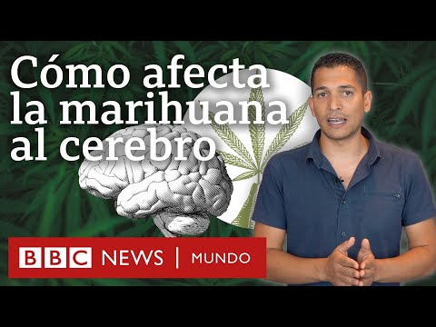 Advierten contra el extendido mito de que la marihuana es inocua - BBC News  Mundo