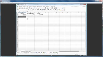 Videotutorial 4 de Excel 2003