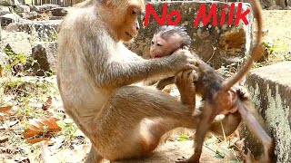 Poor Baby Monkey ADA Crying Seizures | Angel Mom Hit and Bite Weaning Baby No Milk | Sounds Monkey