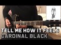 Cardinal Black - Tell Me How It Feels (Guitar Solo) Cover