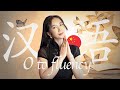 How To Learn Mandarin Chinese From 0 Fluency Resources Methods And Study Plans 