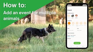 The Anymal App How To Add An Event For Multiple Animals